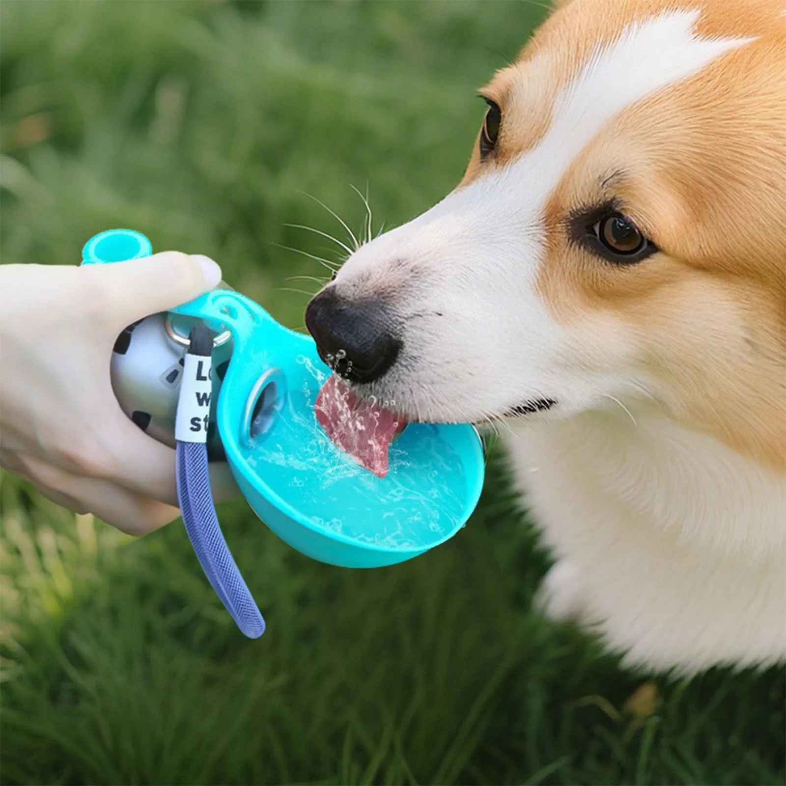 Portable dog water bottle with built-in drinking bowl